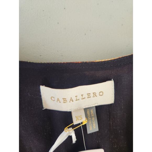 NWT Caballero Anthropologie Deep V-Neck Maxi Floral Dress Size XS - Picture 11 of 14